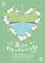萬三の白モッコウバラ祭 2024