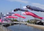 半田運河の鯉のぼり