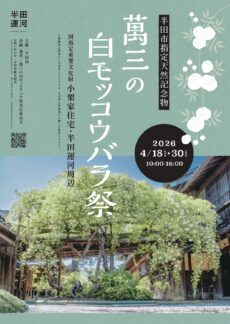 萬三の白モッコウバラ祭 2026