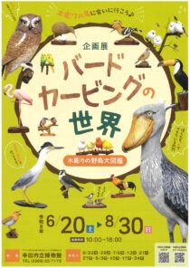 企画展「バードカービングの世界 ～木彫りの野鳥大図鑑～」