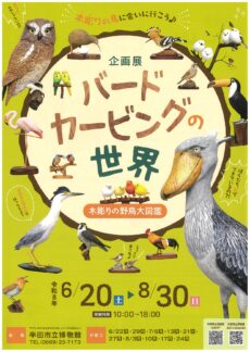 企画展「バードカービングの世界 ～木彫りの野鳥大図鑑～」