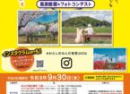 2026 わたしのはんだ発見！ 風景絵画＆フォトコンテスト 作品募集