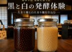 黒と白の発酵体験 ーたまり麹と白たまり麹を仕込むー