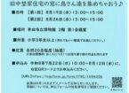 旧中埜家住宅の窓に鳥さん達を集めちゃおう♪