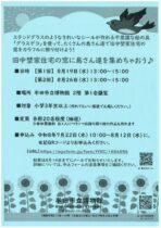旧中埜家住宅の窓に鳥さん達を集めちゃおう♪